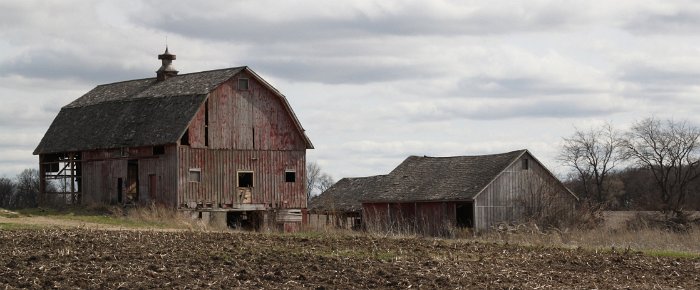 BarnColor