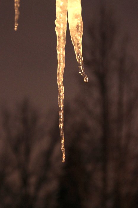 Icicle