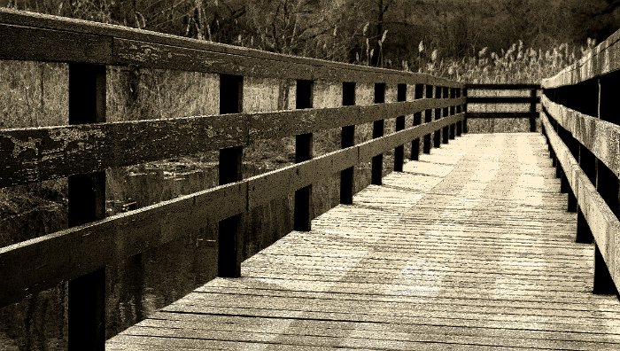 WalkingBridge